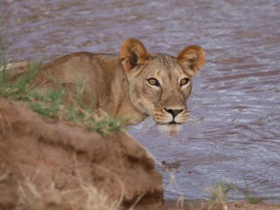 12 days Cheap Holiday in Kenya