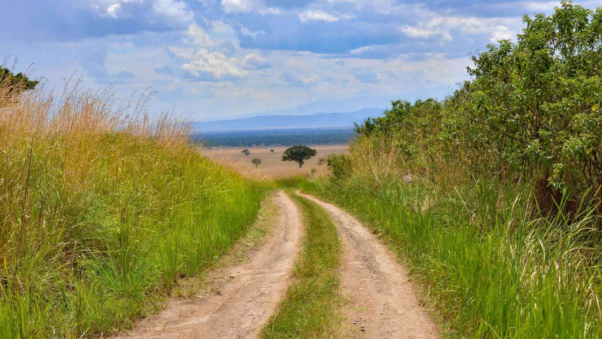 12 Day Uganda Gorilla Trip