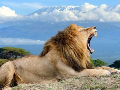 12 days Best Kenya Safari Tour