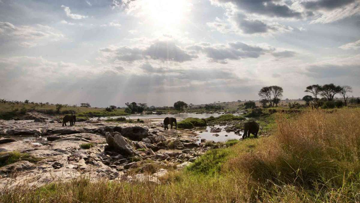 Best Kenya Safari Tour samburu