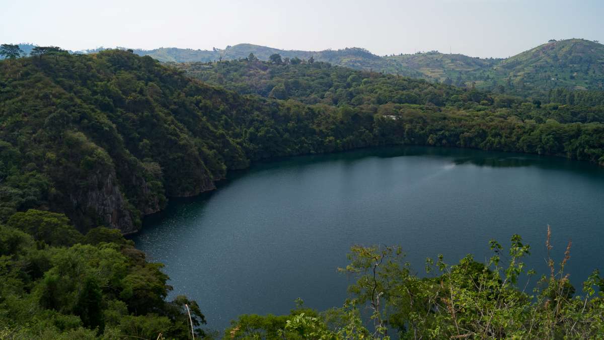 14 Day Grand Uganda Wildlife Safari