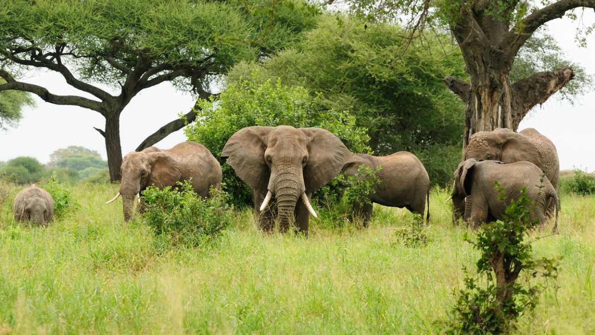 15 Best Places to Visit in Mozambique