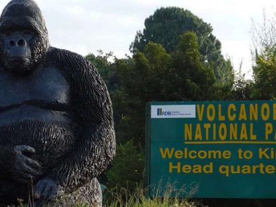 Rwanda Gorilla Express