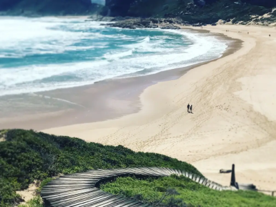 3 Day Garden Route Tour