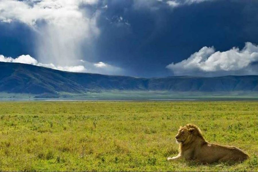 3 days Ngorongoro safari