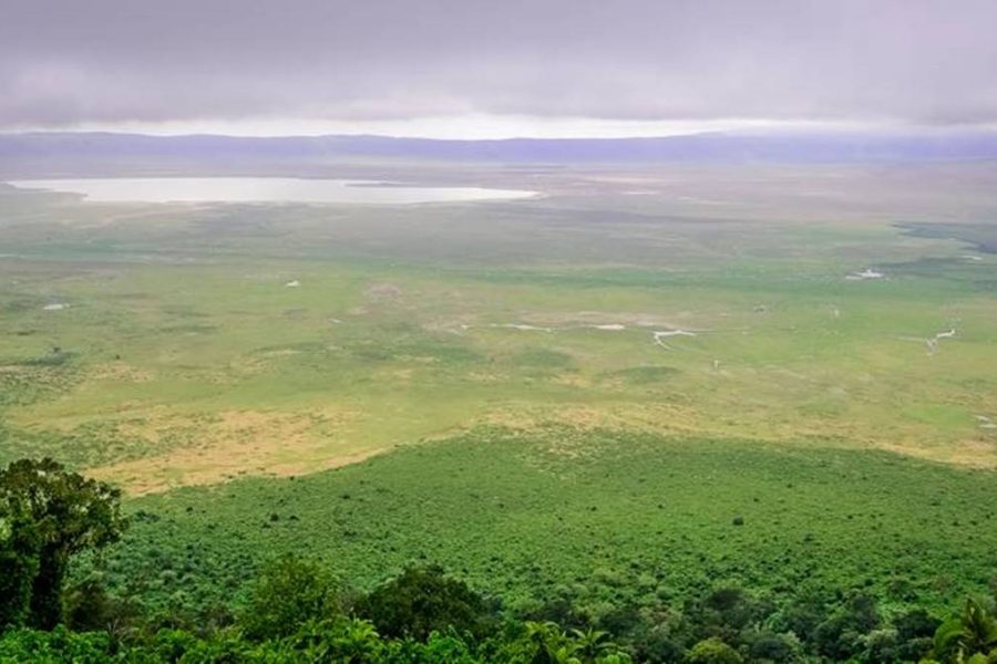 3 days Ngorongoro safari