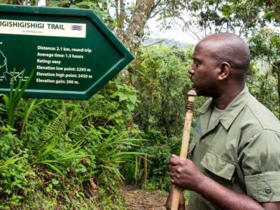 3 Days Nyungwe Forest Safari in Rwanda
