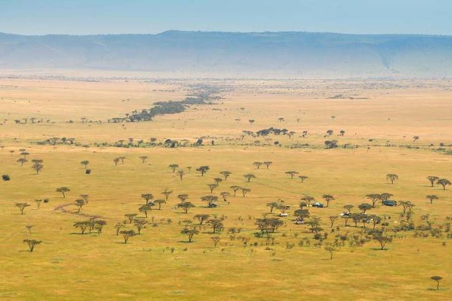 3 Day Serengeti Budget safari