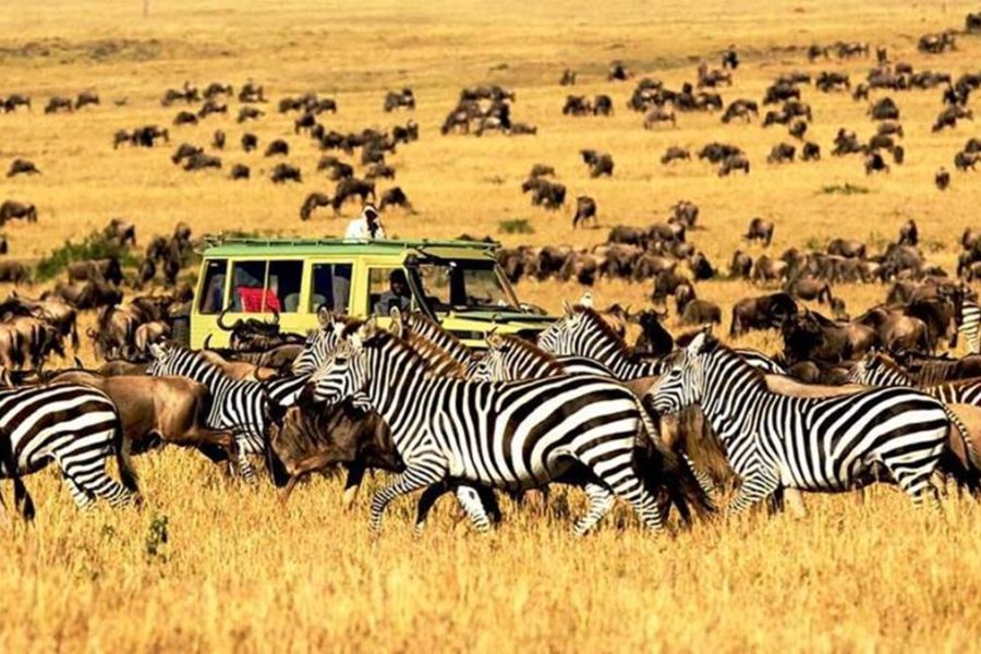 3 Days Serengeti Safari