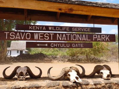 3 Days Tsavo West Tour
