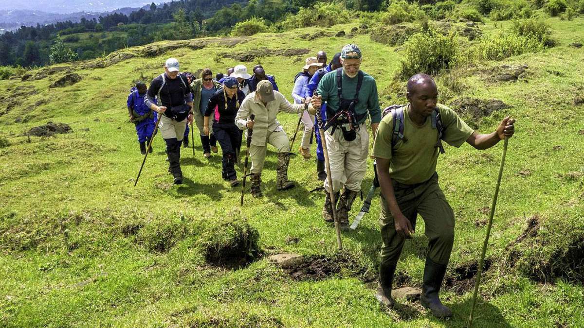 4 Day Rwanda Gorilla Tour