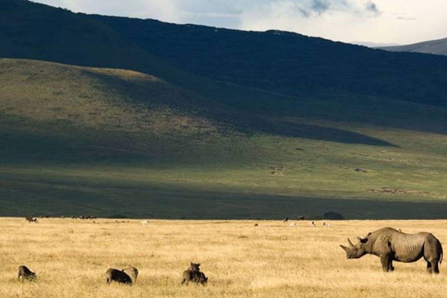 4 Day Serengeti Ngorongoro Safari