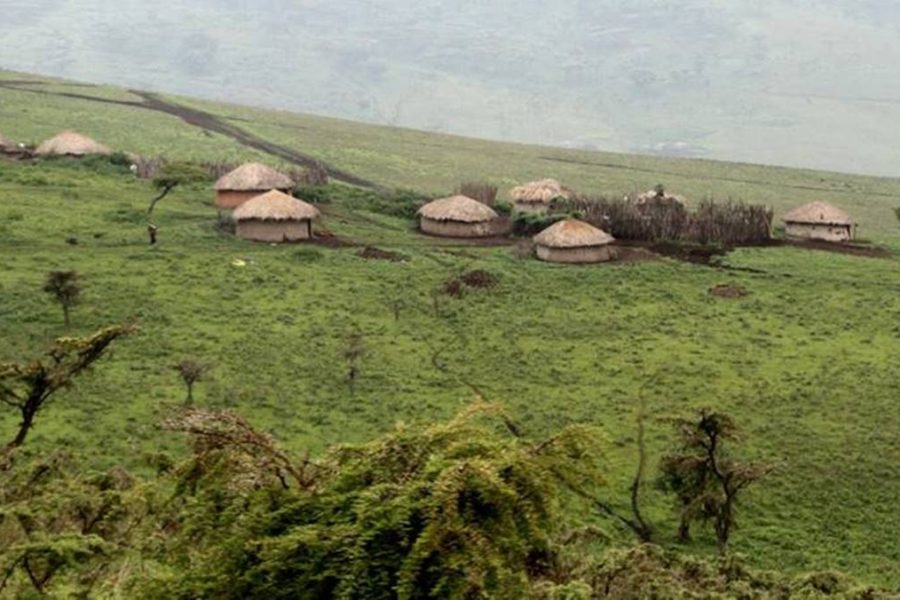 4 Day Tarangire Ngorongoro safari