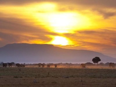 Tsavo Amboseli Trip in Kenya