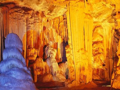 4 Day Garden Route Tour