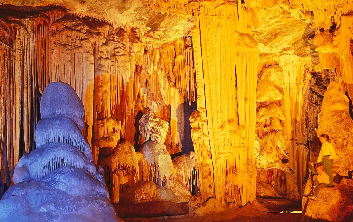 4 day Garden Route Tour