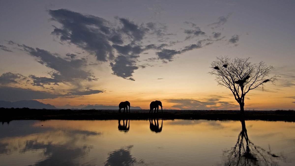 5 Day Kruger Park Safari