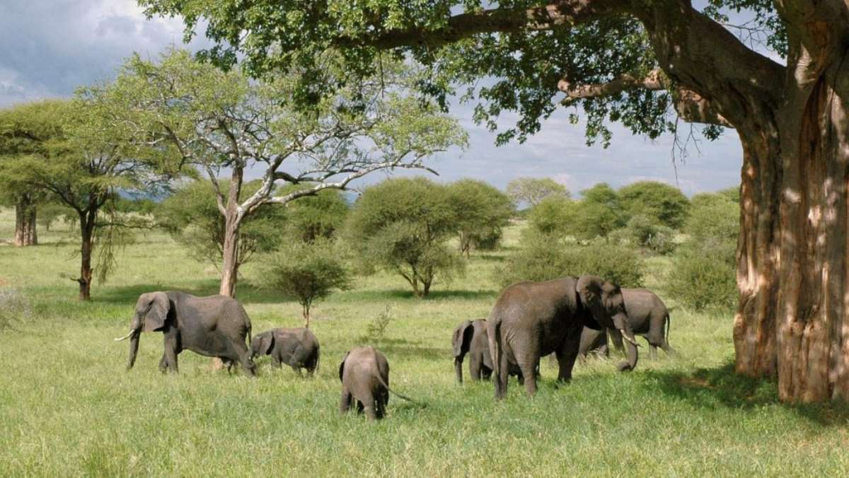 5 Days Budget Uganda Safari