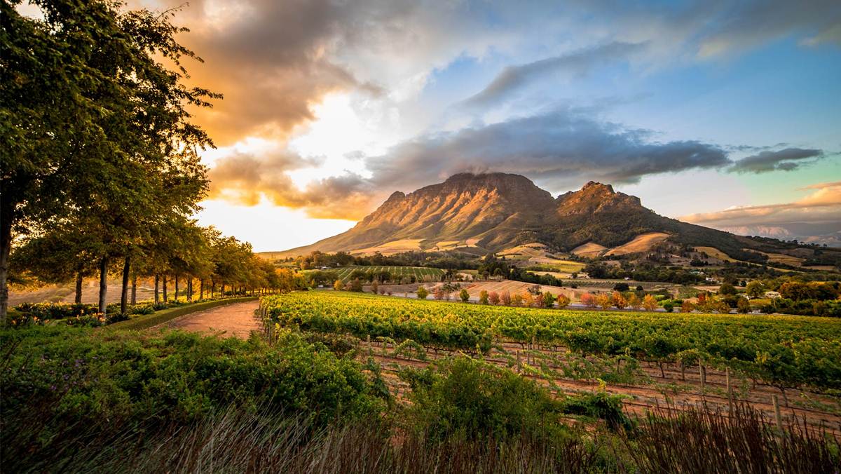 6 Day Garden Route tour