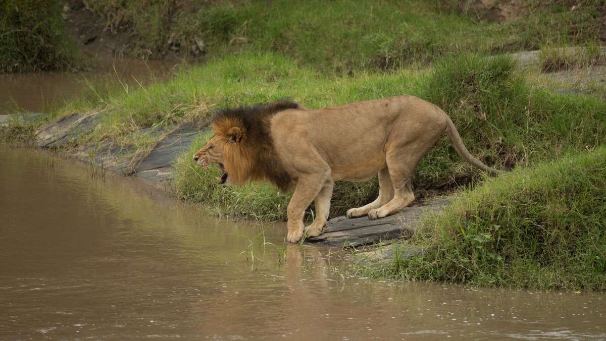 6 day Kenya Camping Safari