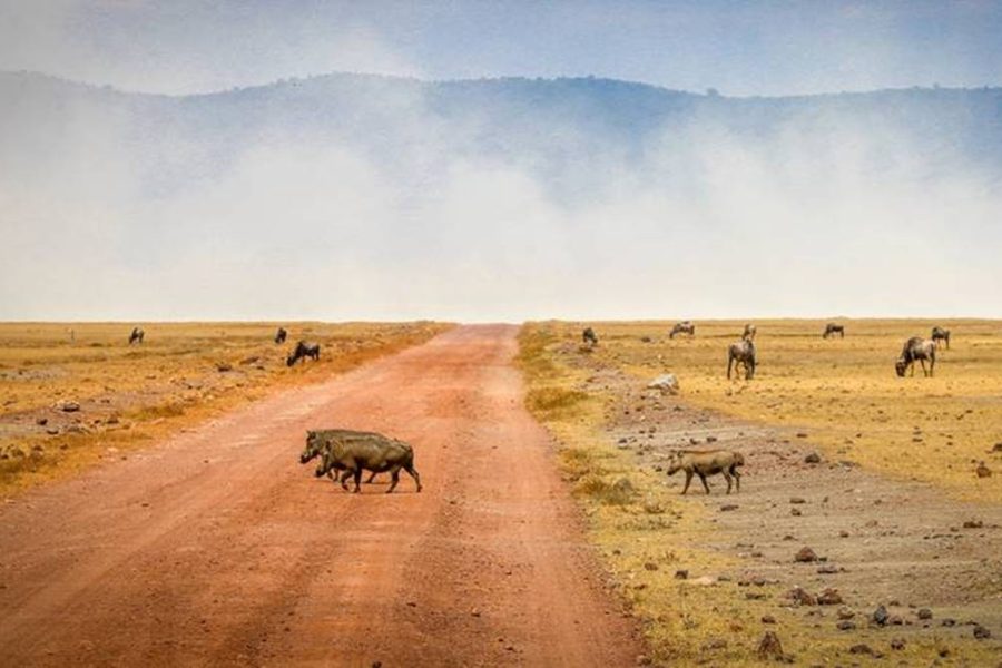 6 day Lake Manyara Serengeti Ngorongoro safari