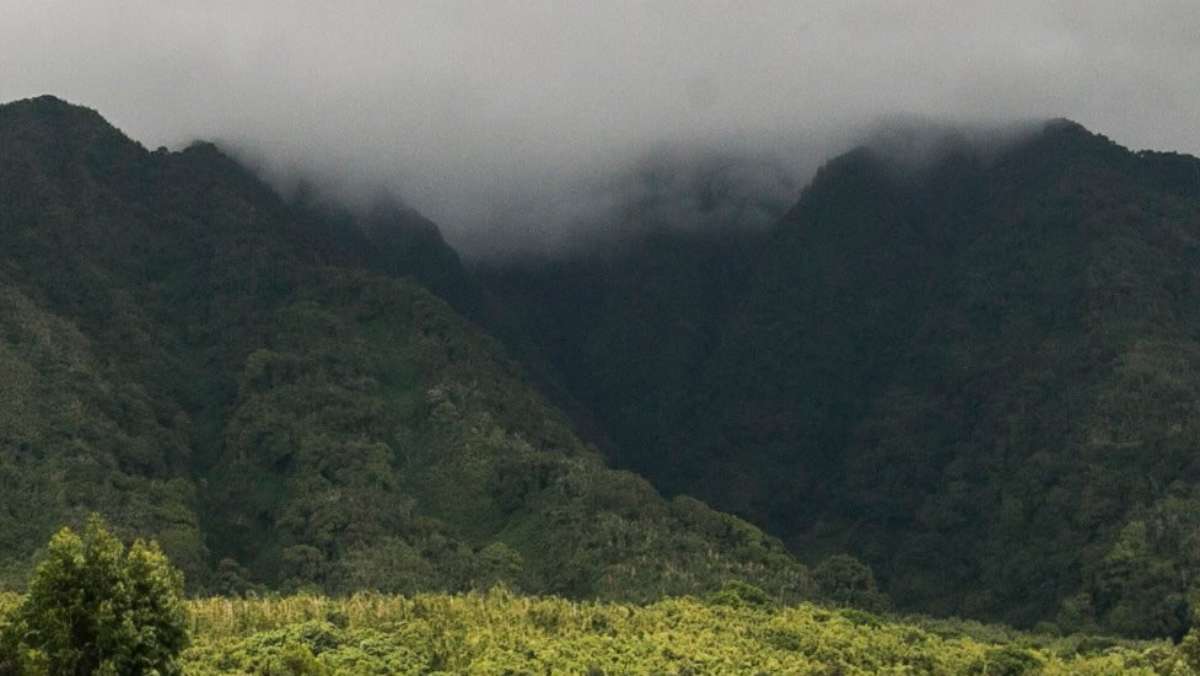6 Days Fly in Gorilla Safari in Uganda
