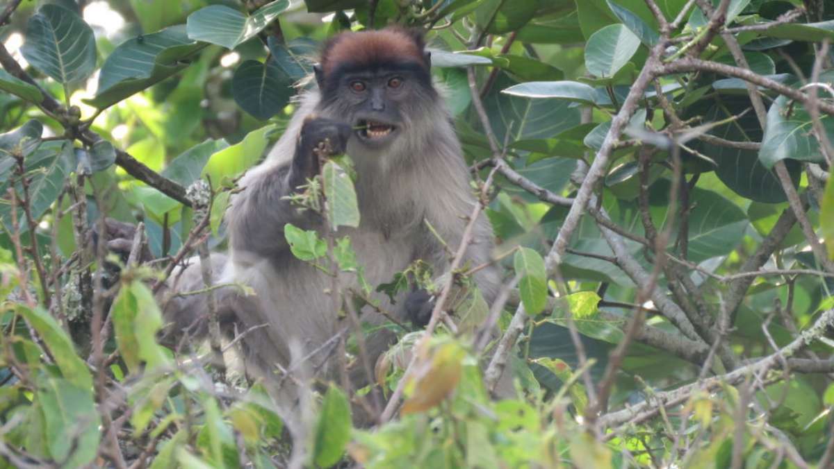 6-day-Cheap-Uganda-Camping-Safari-Tour