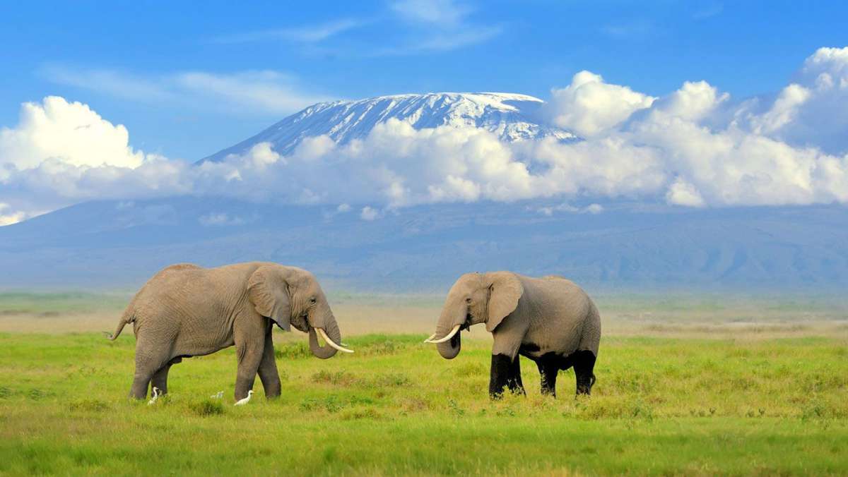 7 day Wings Over Kenya Safari