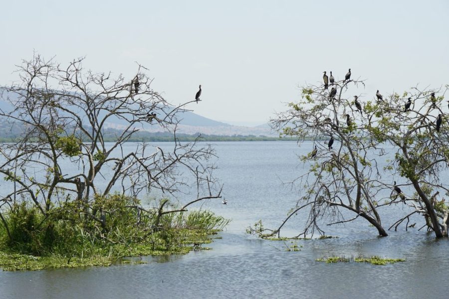 Akagera National Park