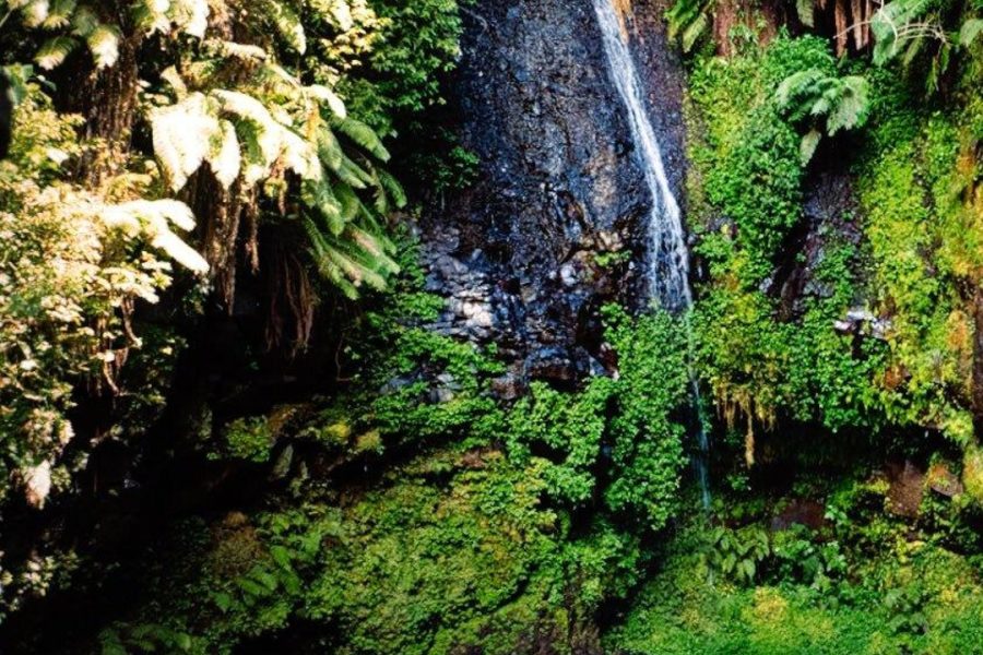 Amber Mountain National Park Madagascar