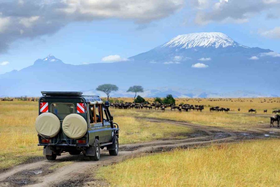 Amboseli National Park