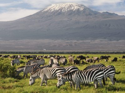 Amboseli National Park