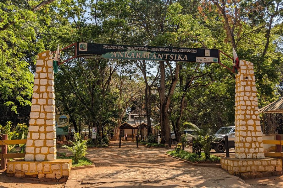 Ankarafantsika National Park Madagascar