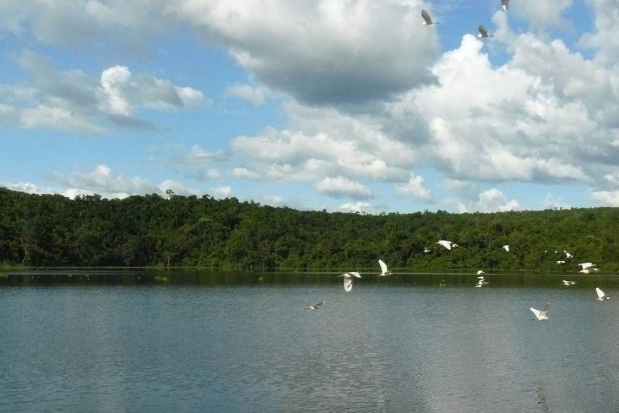 Ankarafantsika National Park Madagascar