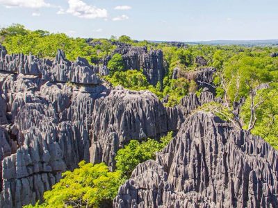 Ankarana National Park