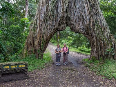 Arusha National Park – Mount Meru, Lakes & Scenic Safaris