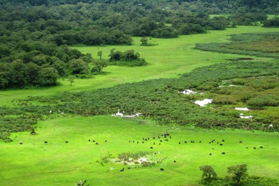 2 Days Arusha National Park Safari