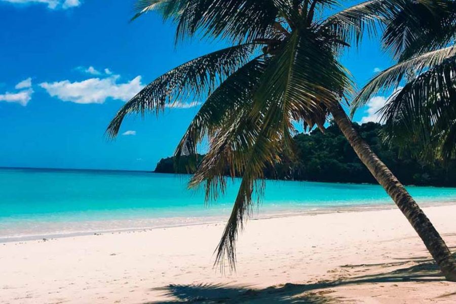 Best Madagascar Tour