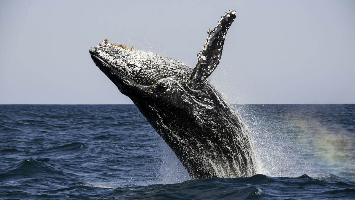 Best time to go to South Africa