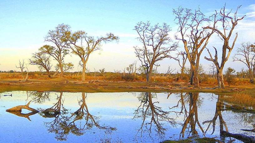 4 Day Botswana Family Safari