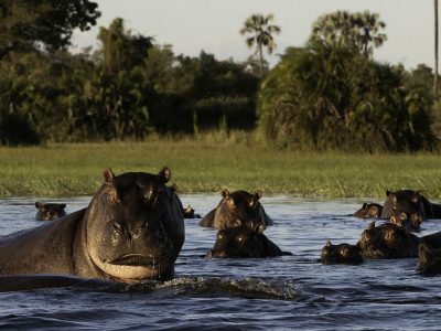 Botswana fly in Tour Botswana air safari
