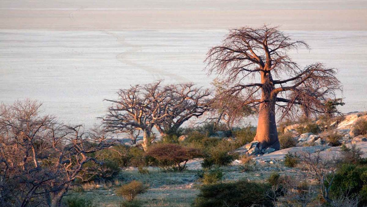 Botswana Romantic Getaway