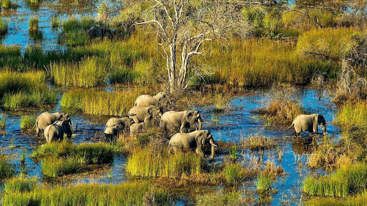 Botswana Romantic Getaway
