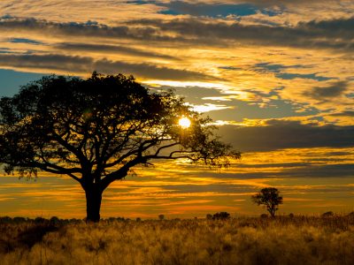 Botswana Safari Trail