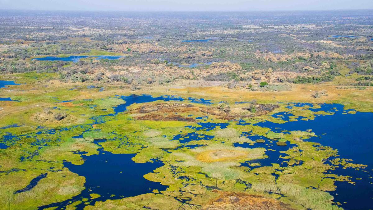 Botswana Safari Tour