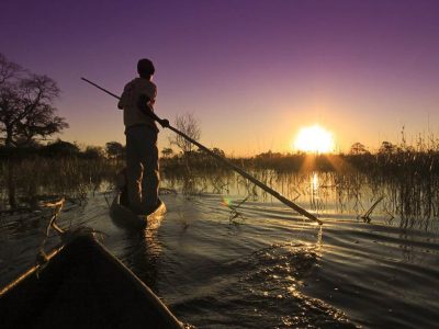 Botswana-Wildlife-Safari-3 Botswana Wildlife Safari