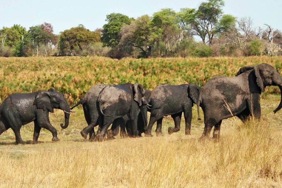 Bwabwata National Park