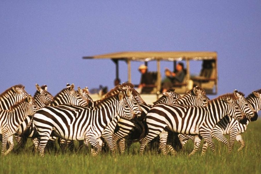 Chobe National Park
