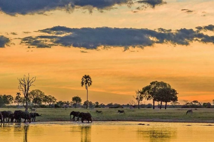 Chobe National Park