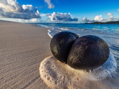 Cousine Island Seychelles